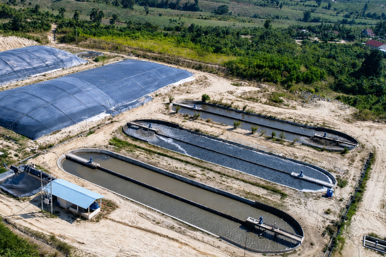 AI Dự Báo & Cảnh Báo Sớm