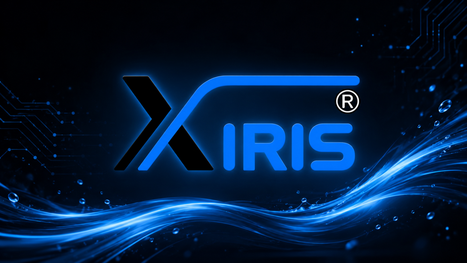 ABOUT X-IRIS